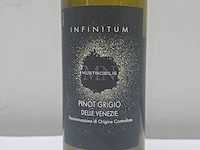 (34x) fles(sen) infinitum pinot grigio delie... - afbeelding 3 van  7