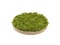 (35x) moscirkel 75 cm kleur limoengroen / aluminium frame met hout look wanddecoratie - afbeelding 4 van  5