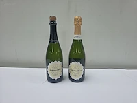 (36x) fles(sen) cava puig solivella 75