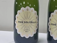 (36x) fles(sen) cava puig solivella 75 - afbeelding 2 van  7