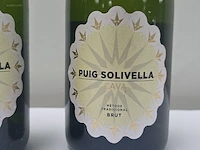 (36x) fles(sen) cava puig solivella 75 - afbeelding 3 van  7