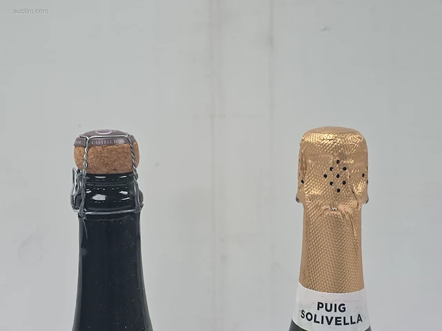 (36x) fles(sen) cava puig solivella 75 - afbeelding 4 van  7