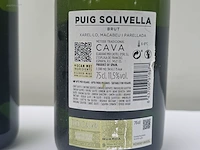 (36x) fles(sen) cava puig solivella 75 - afbeelding 6 van  7