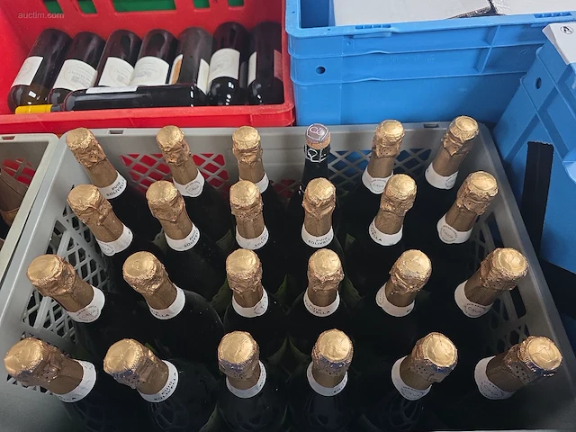 (36x) fles(sen) cava puig solivella 75 - afbeelding 7 van  7