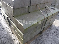 38 stoepranden 50x25x12 cm - afbeelding 1 van  5