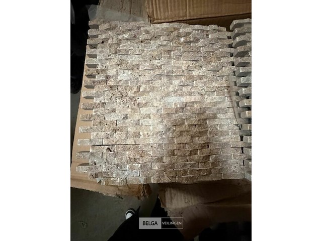 ± 39 dozen steenstrips - afbeelding 2 van  5