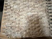 ± 39 dozen steenstrips - afbeelding 2 van  5