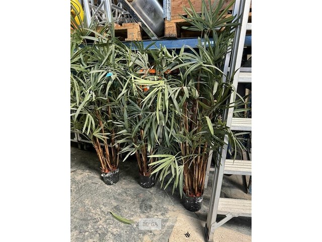 3x bamboe kunstplanten h130 cm - afbeelding 2 van  3