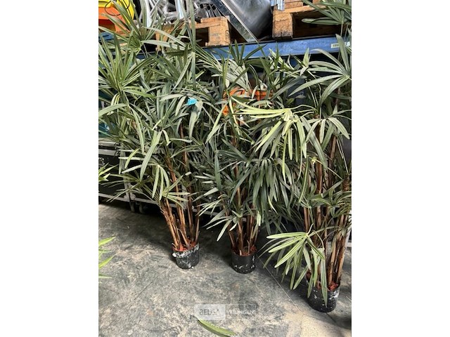 3x bamboe kunstplanten h130 cm - afbeelding 3 van  3