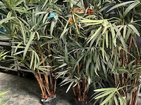3x bamboe kunstplanten h130 cm - afbeelding 3 van  3