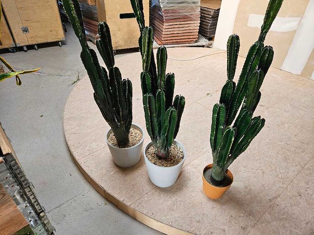 3x cactus kunstplant - afbeelding 1 van  3
