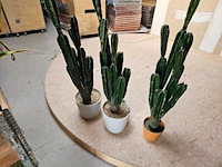 3x cactus kunstplant - afbeelding 1 van  3