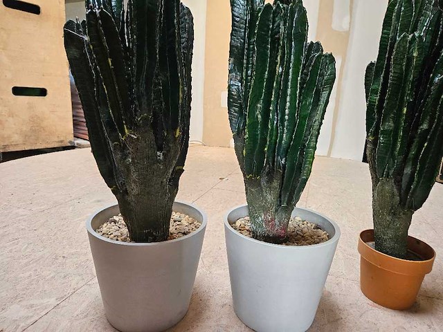 3x cactus kunstplant - afbeelding 2 van  3