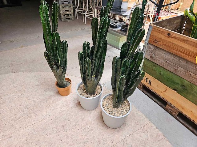 3x cactus kunstplant - afbeelding 3 van  3