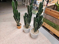 3x cactus kunstplant - afbeelding 3 van  3