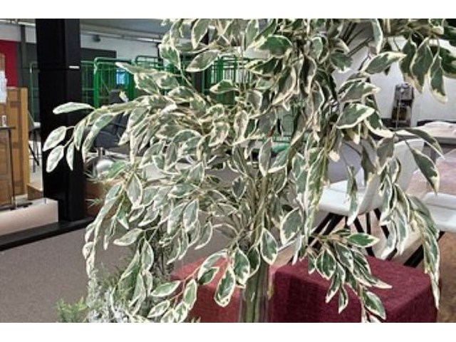 3x decoratie - afbeelding 3 van  3