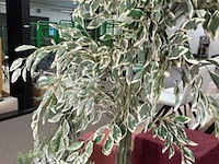 3x decoratie - afbeelding 3 van  3