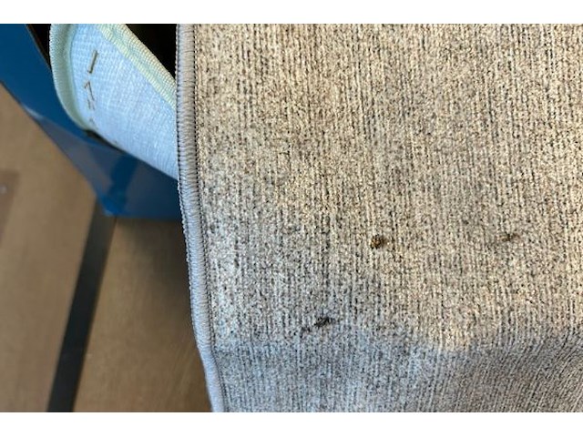 3x design tapijt in designtas fab2 - afbeelding 3 van  4