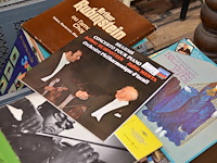 3x doos diverse platen - afbeelding 7 van  22