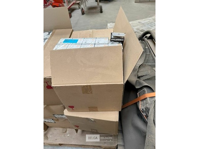 3x dozen gloeilampen sylvania 15w - afbeelding 2 van  2