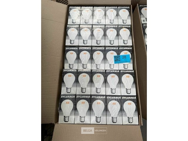 3x dozen gloeilampen sylvania 15w - afbeelding 1 van  2
