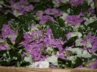 3x dozen plastieke bloemen - afbeelding 2 van  3