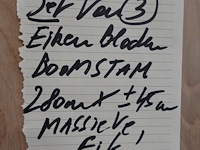 3x eiken blad - afbeelding 3 van  3