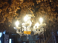 3x hanglamp