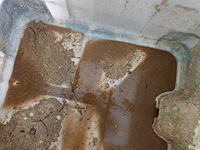 3x ibc container met inhoud - afbeelding 8 van  8