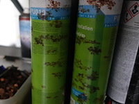 3x inhoud ligger - afbeelding 12 van  12