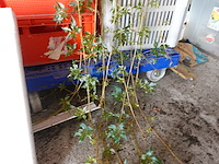 3x inhoud ruimte - afbeelding 2 van  25