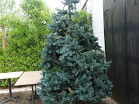 3x kerstboom - afbeelding 1 van  3