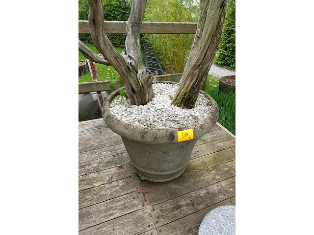 3x plant met bloempot - afbeelding 2 van  9