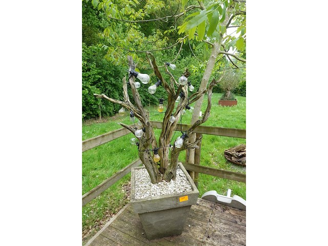 3x plant met bloempot - afbeelding 7 van  9