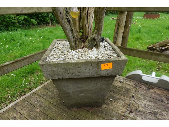 3x plant met bloempot - afbeelding 8 van  9