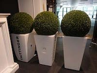 3x plantenbakken in kunstof taittinger