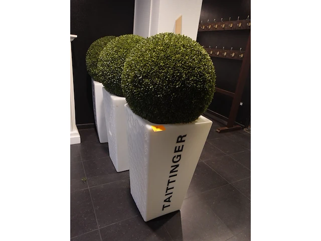 3x plantenbakken in kunstof taittinger - afbeelding 2 van  2