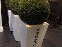 3x plantenbakken in kunstof taittinger - afbeelding 2 van  2