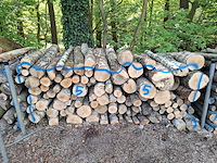 3x stère - afbeelding 1 van  1