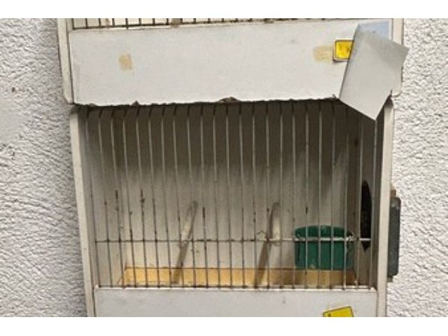 3x vogelkotjes - afbeelding 3 van  3