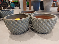 3x vorstvrije terracotta bloempot - afbeelding 1 van  4