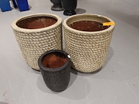3x vorstvrije terracotta bloempot - afbeelding 2 van  5