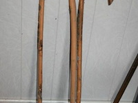 3x wandelstokken - afbeelding 1 van  3
