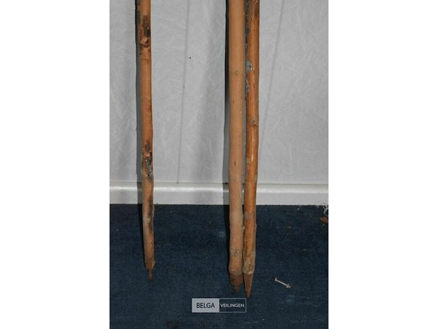 3x wandelstokken - afbeelding 3 van  3