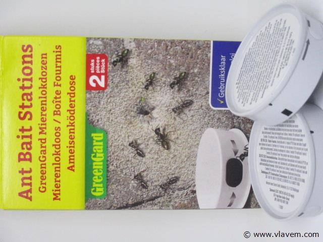 3xmieren lokdozen-zwarte en rode mieren - afbeelding 1 van  1