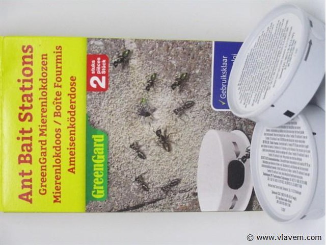3xmieren lokdozen-zwarte en rode mieren - afbeelding 1 van  1