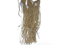 3xmuur decoratie - afbeelding 1 van  1