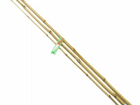 3xvishengel bamboe 438 cm - afbeelding 2 van  2
