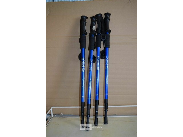 4 antishock wandelstokken - afbeelding 1 van  1