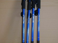 4 antishock wandelstokken